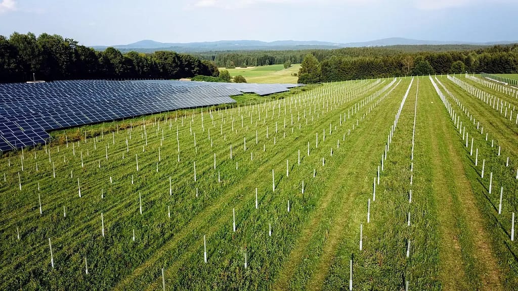 Solarpark in der Bauphase — Einsatzumfeld mobiler Videoüberwachung - Secura.Zone Videoüberwachung für Solarparks — Freiflächenanlage in der Bauphase Videoüberwachung für Solarparks — Freiflächenanlage in der Bauphase